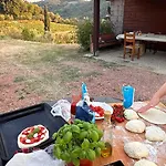 La Piastraia