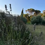 La Piastraia Ferienhaus Parlascio